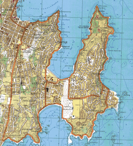 Soviet city plan of Wellington (K-60-38,50) | Soar