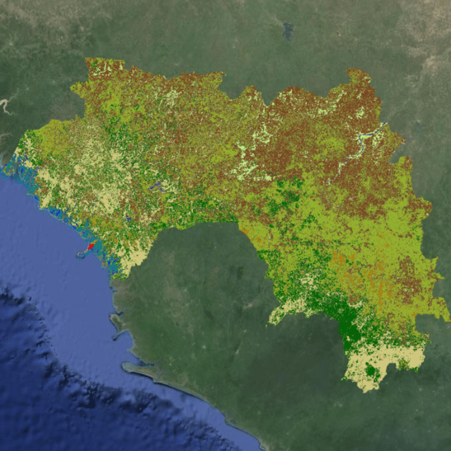 Land Cover Map of Guinea | Soar